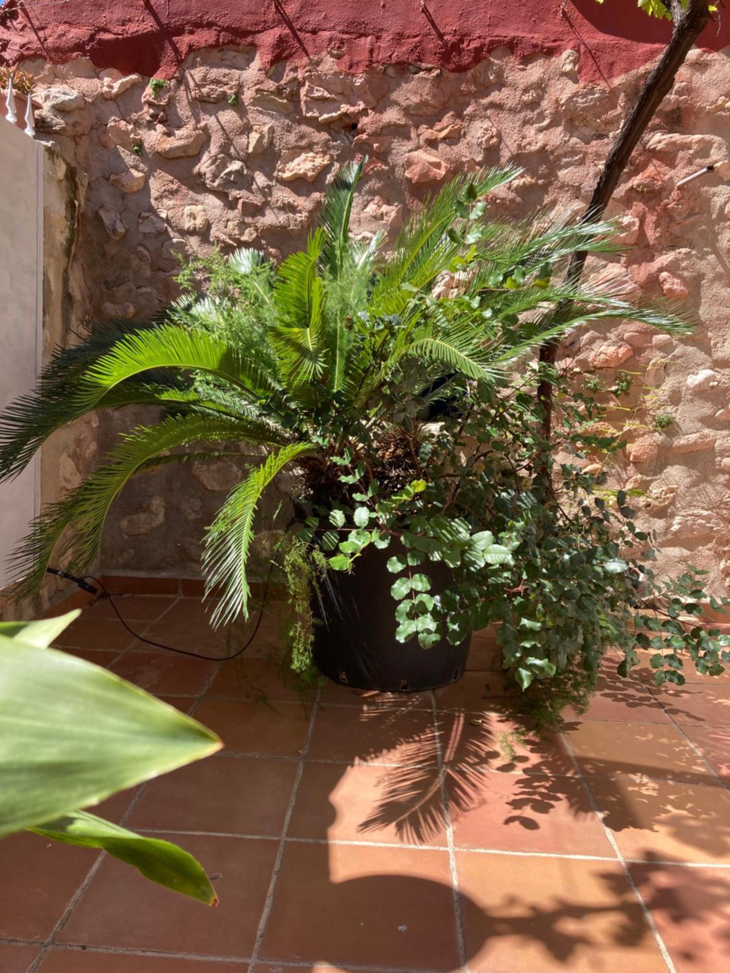 Casa Gallinera Benissiva Luaran gambar